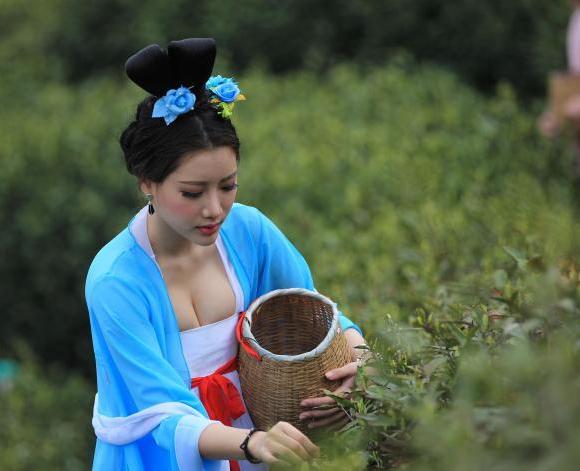 唐装美女“穿越”踏青采茶秀身姿”