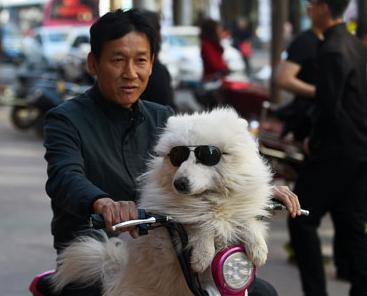 ̫ԭ��ͷ�������ˡ�ʱ�п��š�