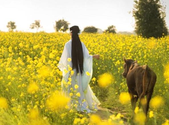 拍古装照推荐乡村走红 江西女村官称不想做“网红””