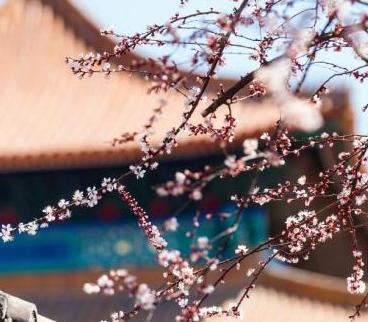 �ʹ������ӻ���ͼ ʮ�ﴺ�紵��ѩ��