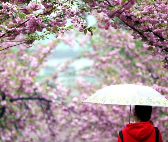 ��������ӣ�����б���������