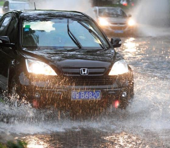 �����з��������ɫԤ����