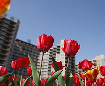 �����Ϻ�������ʮ����������ʢ��������פ�㡱