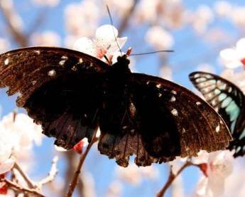 �½���ɽ�������ӻ����ź��������������ɾ���