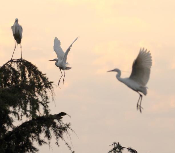 �����Ͼ�ɽ��������Ϸ ������Ȥ��