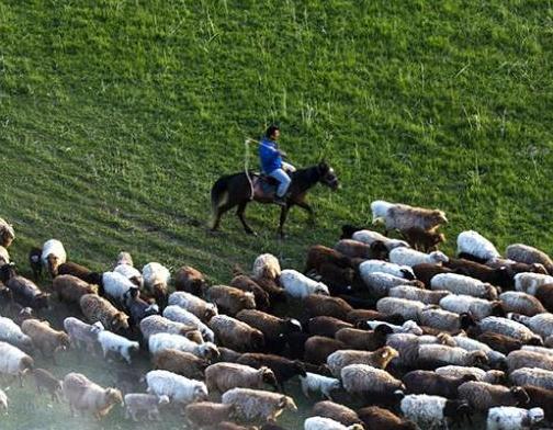 �½��������̬�����ӱ�ţ���Ⱥ��