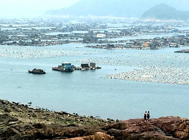 ���ĸ���������� ��������εΪ׳�ۡ�