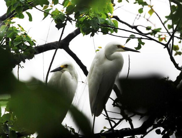 �ϲ������к������á� ��Ⱥ���������д�����Ϣ��