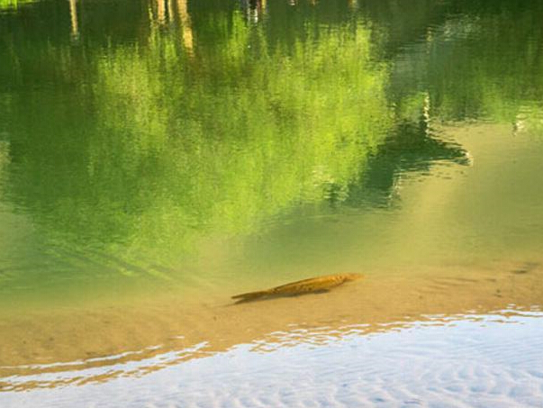 �ػ�����Ȫ���ֺ����������㡱��Χ�ۡ�