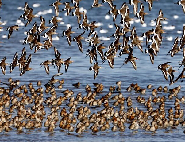 �ػʵ����ֵ�һ�����ʱ��