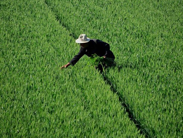 ����ʱ��ũ��æ��