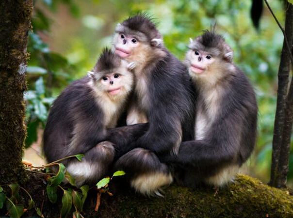 ��ͷ�µĽ�˿��������ů��г��