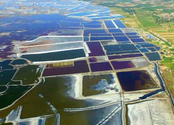 �����й��������� �����ʻ�����