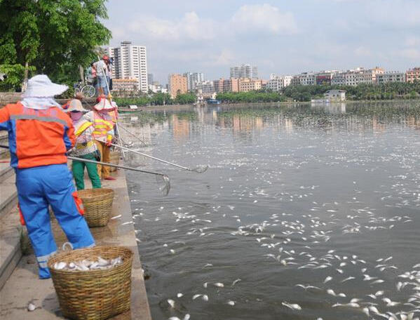 ���ں�Ǻ�����35���������㡱