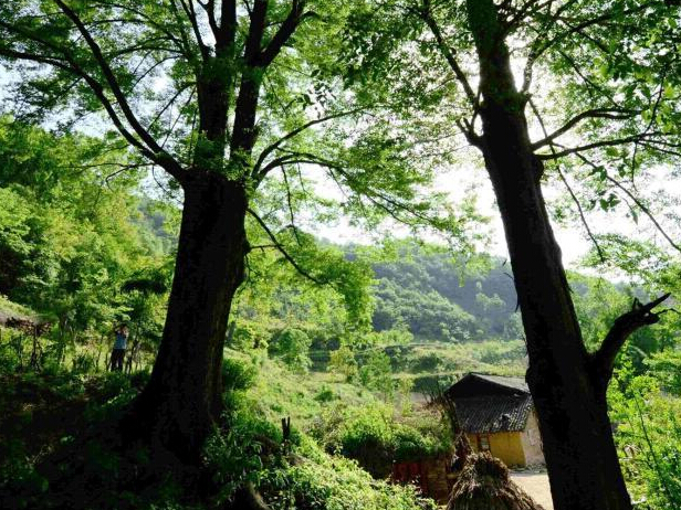 �����ִ����ǧ��Ұ���������������