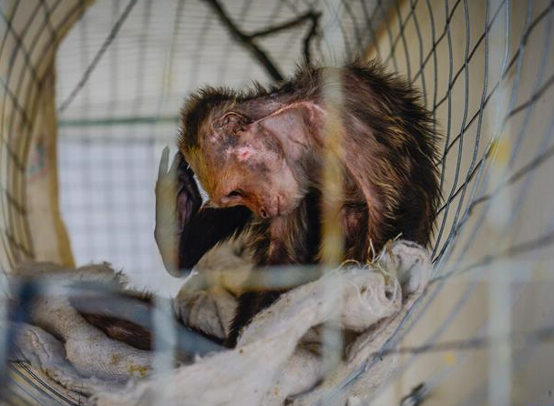 ������Ű���ӡ�