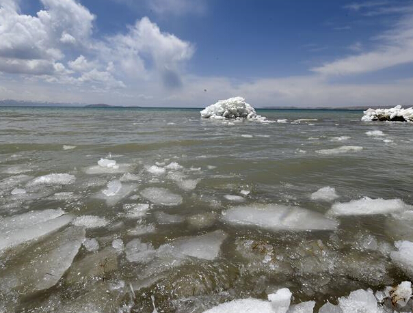 ������ľ��������