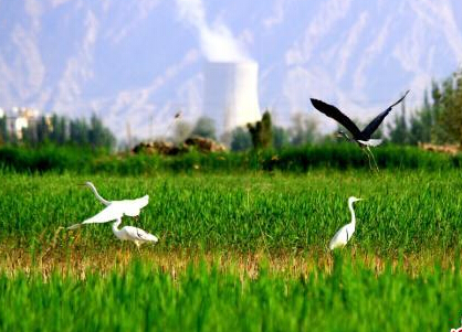 ����ʱ�ڸ����������ʪ�ع�԰���طɡ�