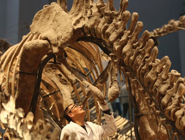 �߽�����������ʦ�����������ﻯʯ�޸���Ա��