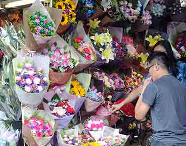 ĸ�׽ڽ��� ����ʻ����Ρ�