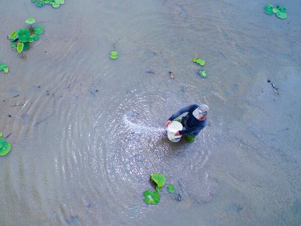 ���ĵ� ũ��æ��