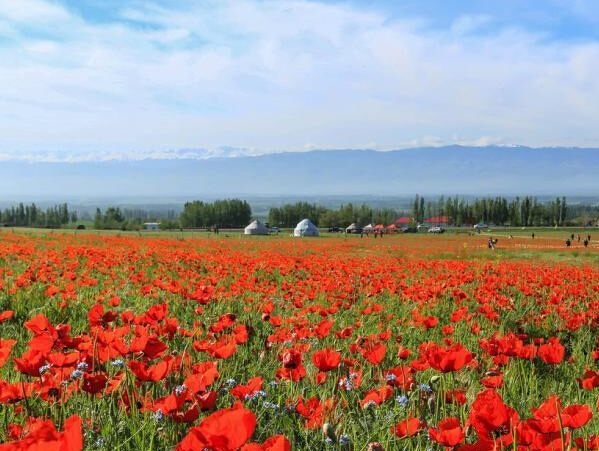 �½���ɽ��´��ɽ�컨ŭ�š�