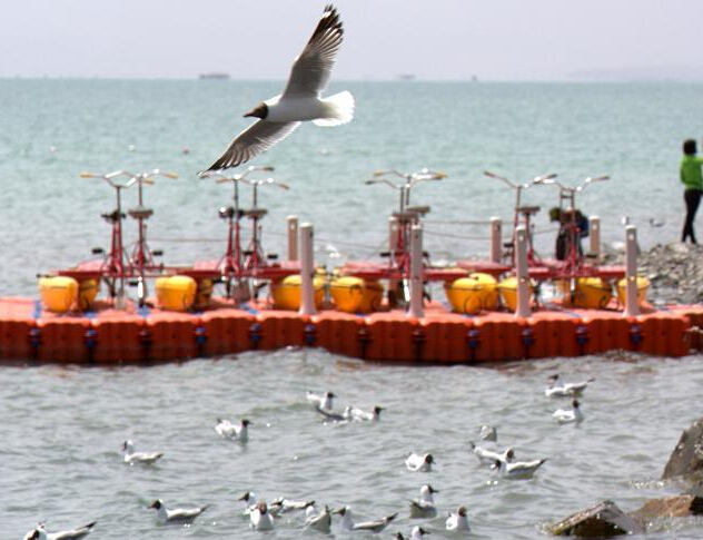 �����ĺ������� �ຣ��ӭ��2016����񼾡�