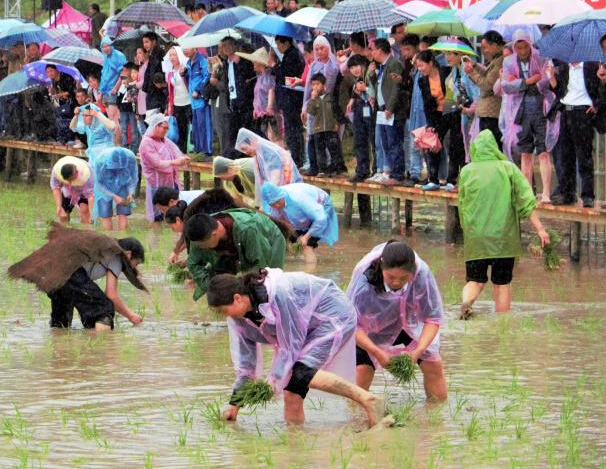 ������ʩ�����塰�����ڡ���Ļ ���˱���������