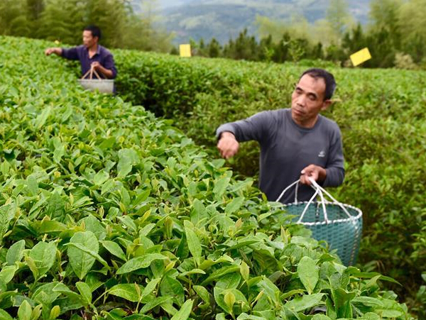 ��������ɽ��ˮ�ò��ˡ�