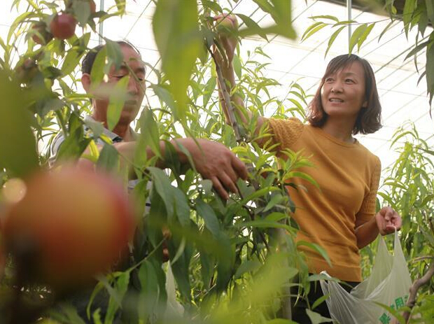 ɽ��ũ��ũ����������Ȧ��