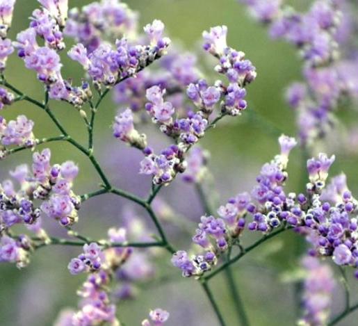 ���纣�����ֲ��԰��ֲ��㡱��Į��̬���ۡ�