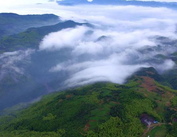 ����������ɽ�����ƺ������ɾ���