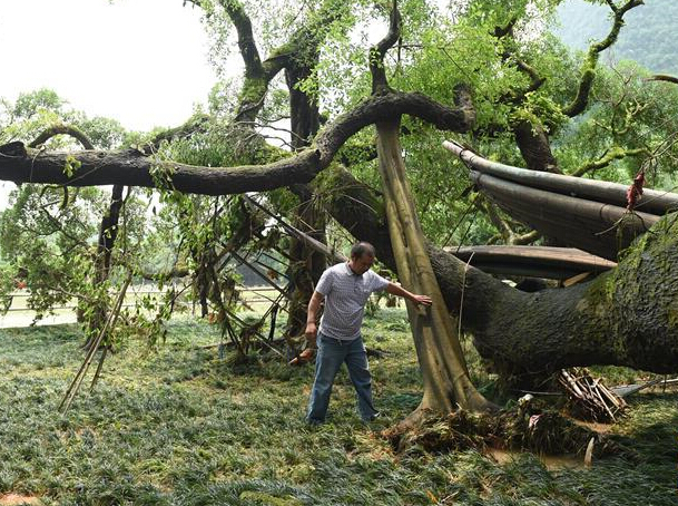 ������˷������������ ǧ��������۶϶����֦��