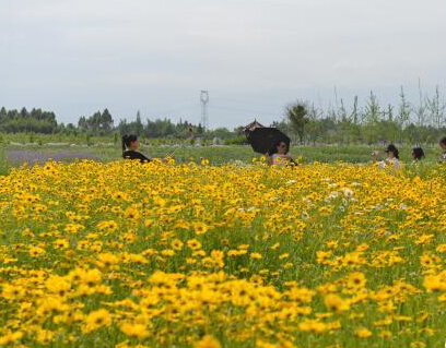 �ɶ�����Ķ���������š�