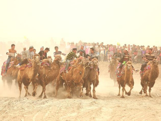 �½�������ɳĮ�����������յ�������ҡ�