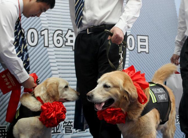 �Ϻ����ѱ�Ȯ���� �����˰���������