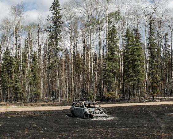 ���ô��ֻ���Ƽ��� ��������ɭ�־��١�