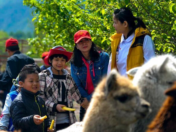 ��³ľ��²ж�ͯ�߳������׽�����Ȼ��