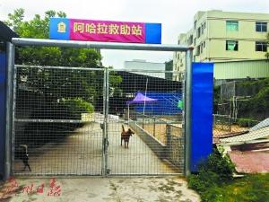 ����������2�׷����������˹� ÿ�껨����ʮ��