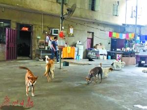 ����������2�׷����������˹� ÿ�껨����ʮ��