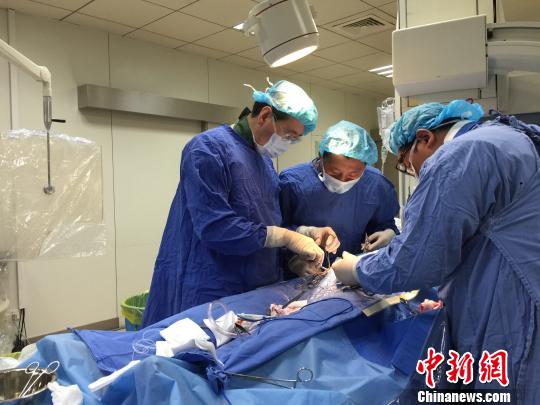 �й�ҽ���������С������о�������Ͽ�