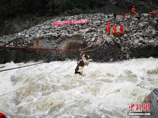 6月25日,成都消防使用绳桥将搜救犬运送到核心区,展开救援。6月24日,四川茂县叠溪镇新磨村新村组富贵山山体垮塌,大批救援人员正在现场全力展开搜救等工作。 成都消防 供图