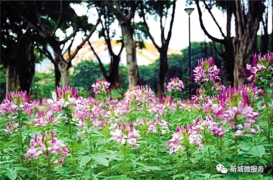 ˮɽŨŨ7000Oɫɽ³ (ͼ)