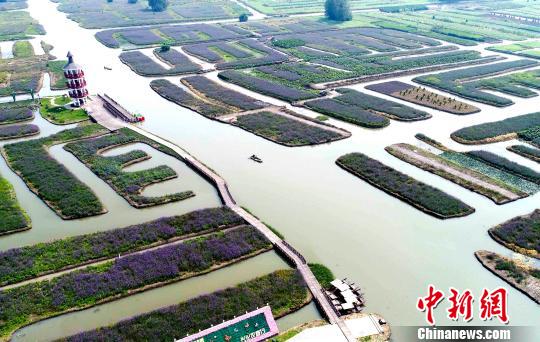 �����˻�ǧ�⾰���ﾰ�续