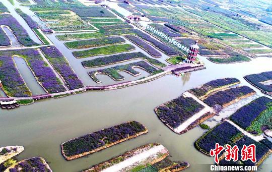 ͼΪ޹�²ݡ����پպ��＾ũ�����׺�ڶ���֮�С������º� ��