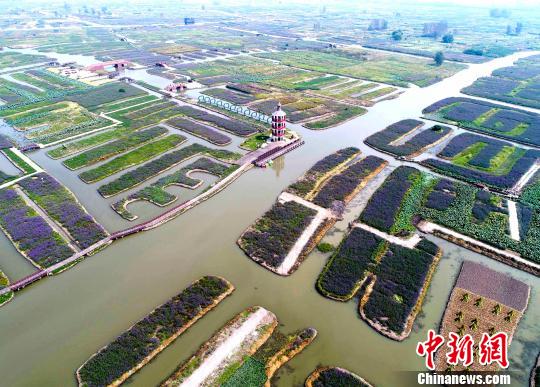 ͼΪ޹�²ݡ����پպ��＾ũ�����׺�ڶ���֮�С������º� ��