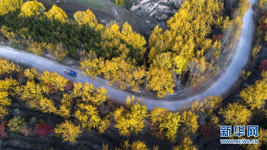 #(社会)(2)秋色如画