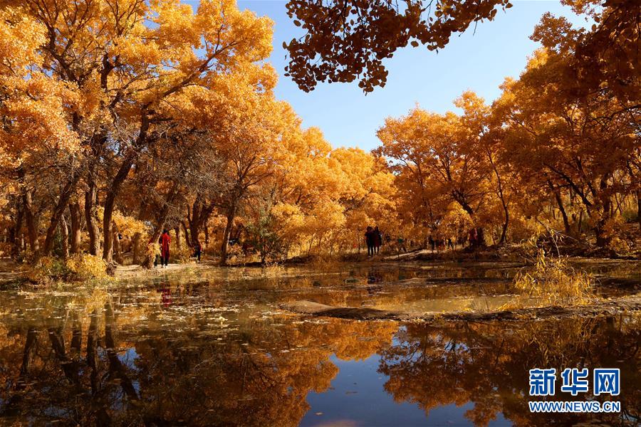 #(社会)(3)秋色如画
