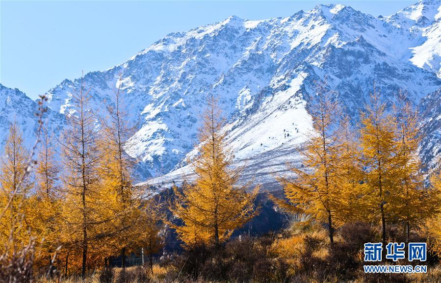 #(社会)(6)秋色如画