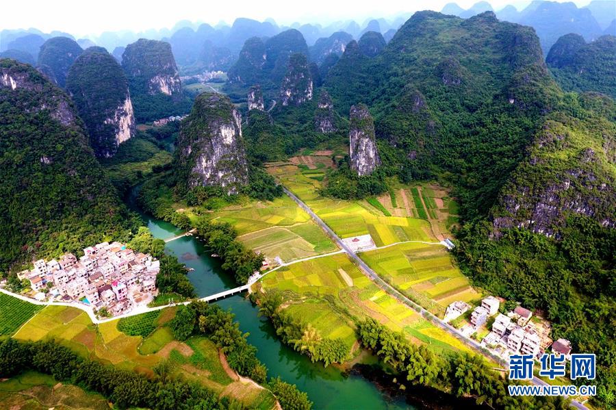 #(社会)(7)秋色如画